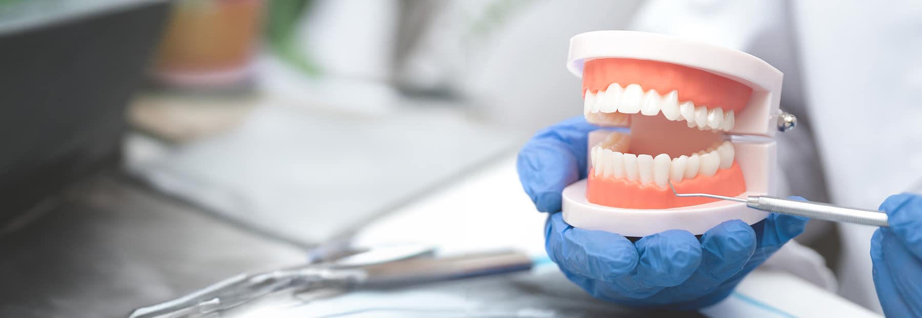 Doctor holding teeth model with instrument pointing to gum line.